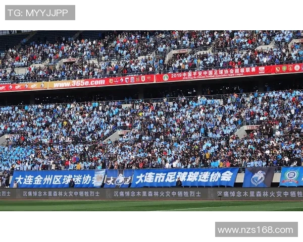 中国足球传承与辉煌再现球星卡合集展现足坛传奇与未来希望 中国足球传承与辉煌再现球星卡合集展现足坛传奇与未来希望