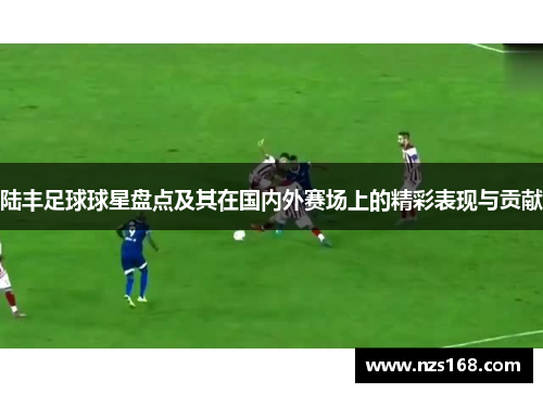 陆丰足球球星盘点及其在国内外赛场上的精彩表现与贡献